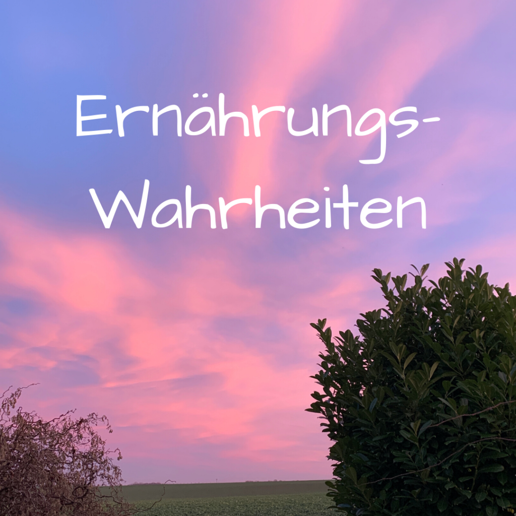 Cover 20-03 Ernährungswahrheiten auf rosa Himmel